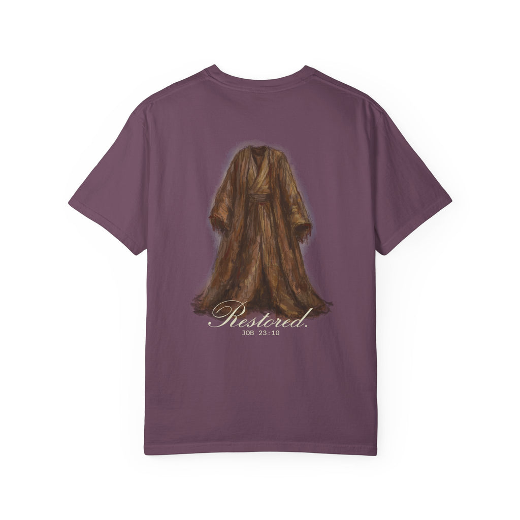 Copy of The Story of Job | T-Shirt