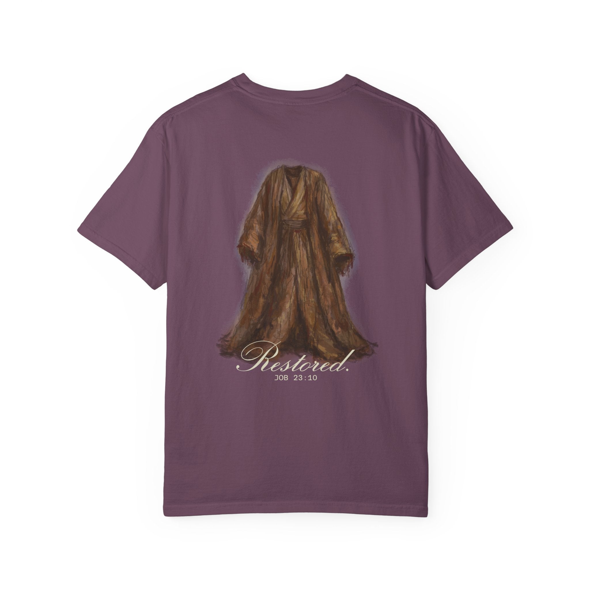 Copy of The Story of Job | T-Shirt