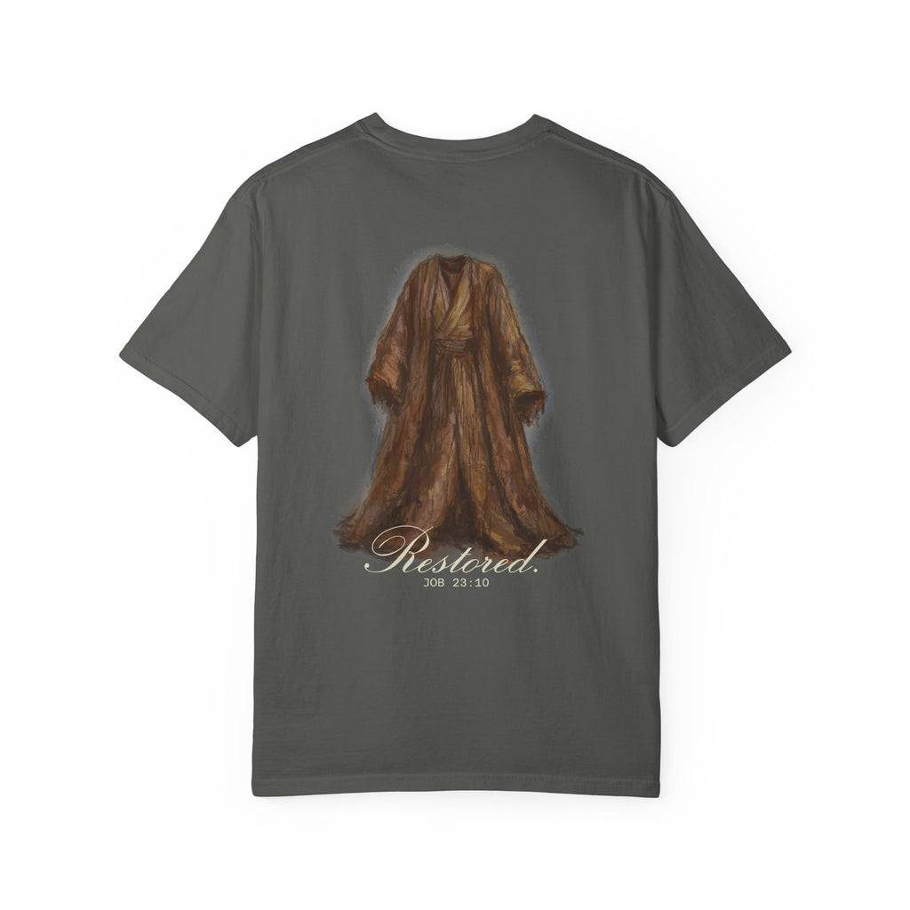 Copy of The Story of Job | T-Shirt